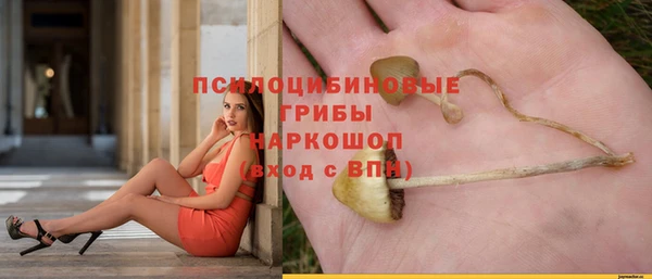 герыч Богородицк