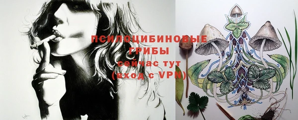 MDMA Premium VHQ Инсар