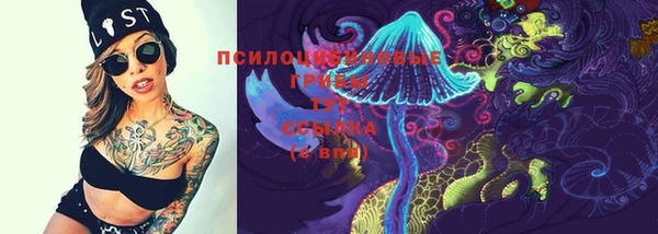 амфетамин Богданович