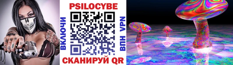 хочу   Колпашево  Псилоцибиновые грибы Cubensis 